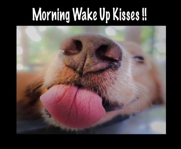 morning kisses